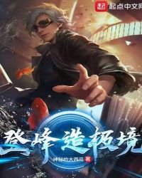 登峰造极境
