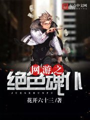 《网游之绝色魂仆》