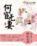 《何宦无妻》