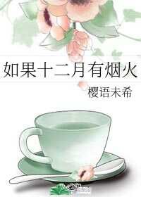《如果十二月有烟火》