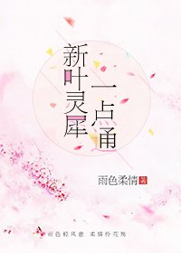 《新叶灵犀一点通》