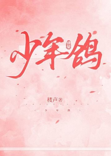 少年鸽