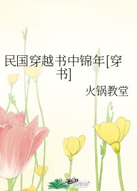 民国穿越书中锦年[穿书]