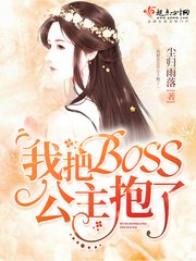 《我把BOSS公主抱了》