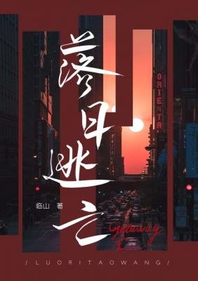 《落日逃亡》