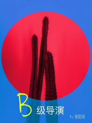 《B级导演》
