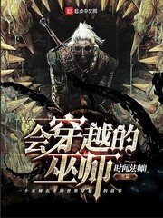《会穿越的巫师》