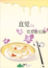 《直觉》