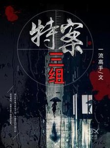 《特案三组》
