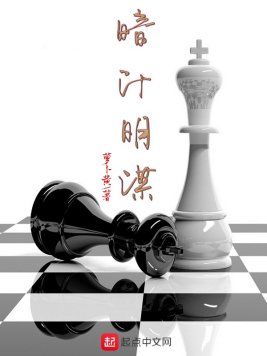 《暗计明谋》