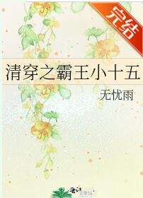 《清穿之霸王小十五》