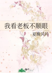 《我看老板不顺眼》