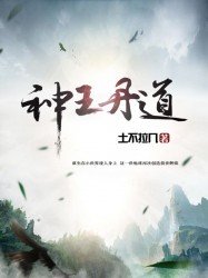 《神王丹道》