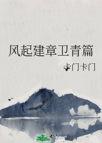 《风起建章卫青篇》