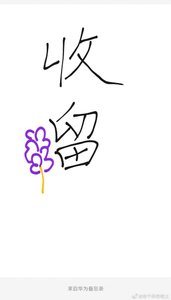 《收留》