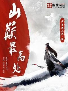《山巅最高处》