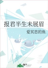《报君半生未展眉》
