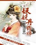 《妖娆丹药师:傻王追妻》