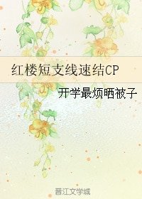 《(BG/红楼同人)红楼短支线速结CP》