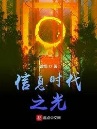 《信息时代之光》