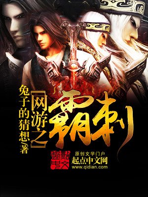 《网游之霸刺》