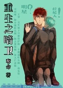 《重生之暗卫》