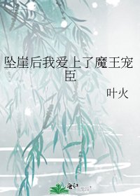《坠崖后我爱上了魔王宠臣》