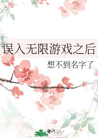《误入无限游戏之后》