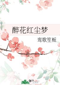 《醉花红尘梦》