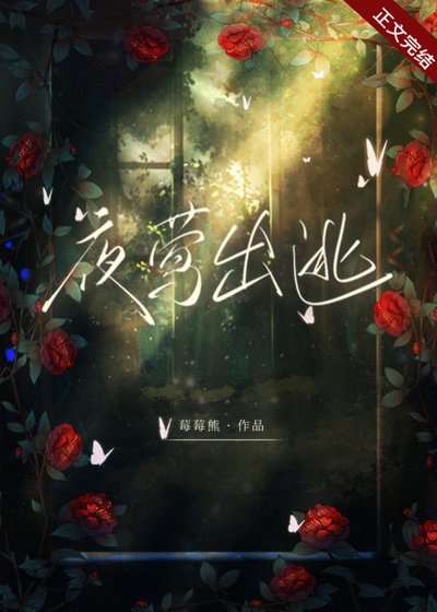 《夜莺出逃》