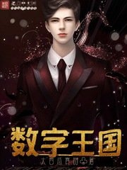 《数字王国》