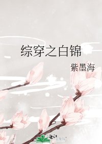 《(综同人)综穿之败锦》