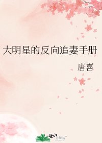 大明星的反向追妻手册