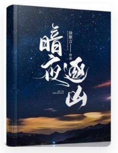 《暗夜逐凶》