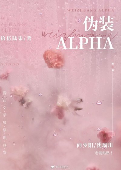 《伪装Alpha》