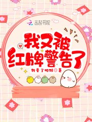 《我又被红牌警告了!》