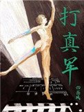 《打真军》