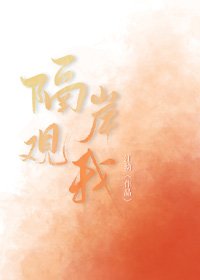 《隔岸观我》
