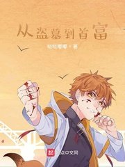 《从盗墓到首富》