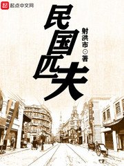 《民国匹夫》