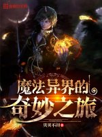 《魔法异界的奇妙之旅》