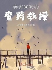 《哈利波特之魔药教授》