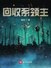 《回收系领主》