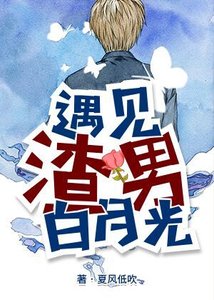 《遇见渣男白月光》