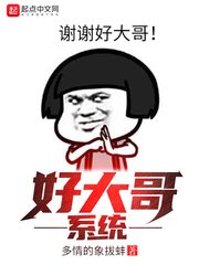 《好大哥系统》