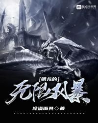 《钢龙的无限风褒》