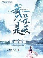 《我只是一朵云》