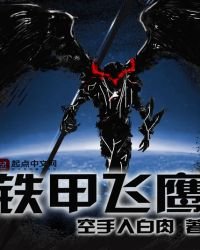 《铁甲飞鹰》