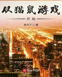 《从猫鼠游戏开始》