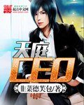《天厅CEO》